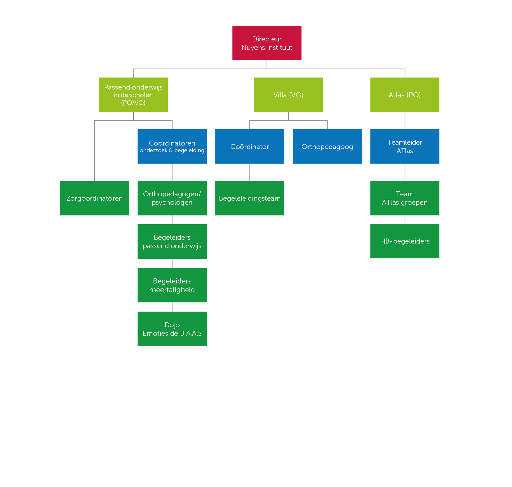 organogram nuyens